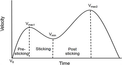 The Effects of Barbell Placement on Kinematics and Muscle Activation Around the Sticking Region in Squats